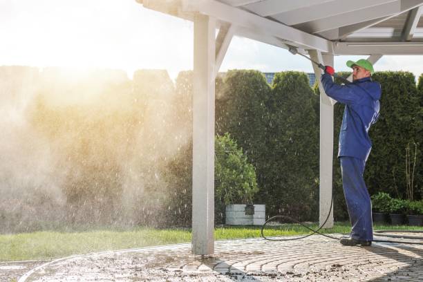 Best Roof Washing  in Lmyra, PA
